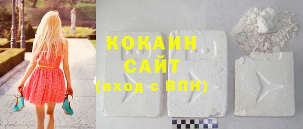 стаф Кулебаки