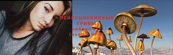 стаф Кулебаки