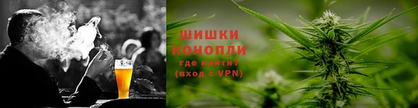 стаф Кулебаки