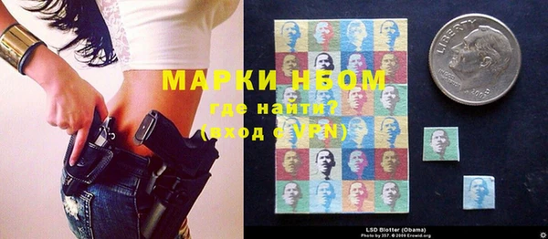 стаф Кулебаки
