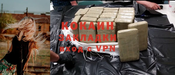 стаф Кулебаки