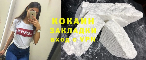 стаф Кулебаки