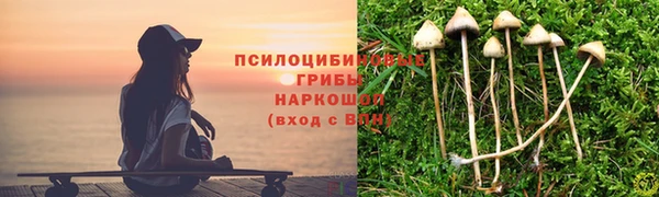 стаф Кулебаки
