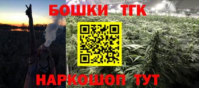 ALPHA PVP Гатчина