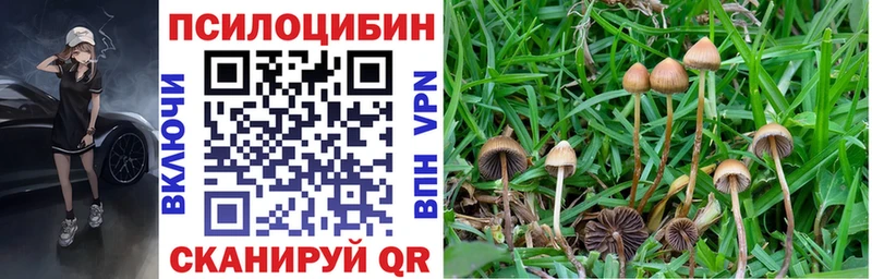 Галлюциногенные грибы прущие грибы  Керчь 