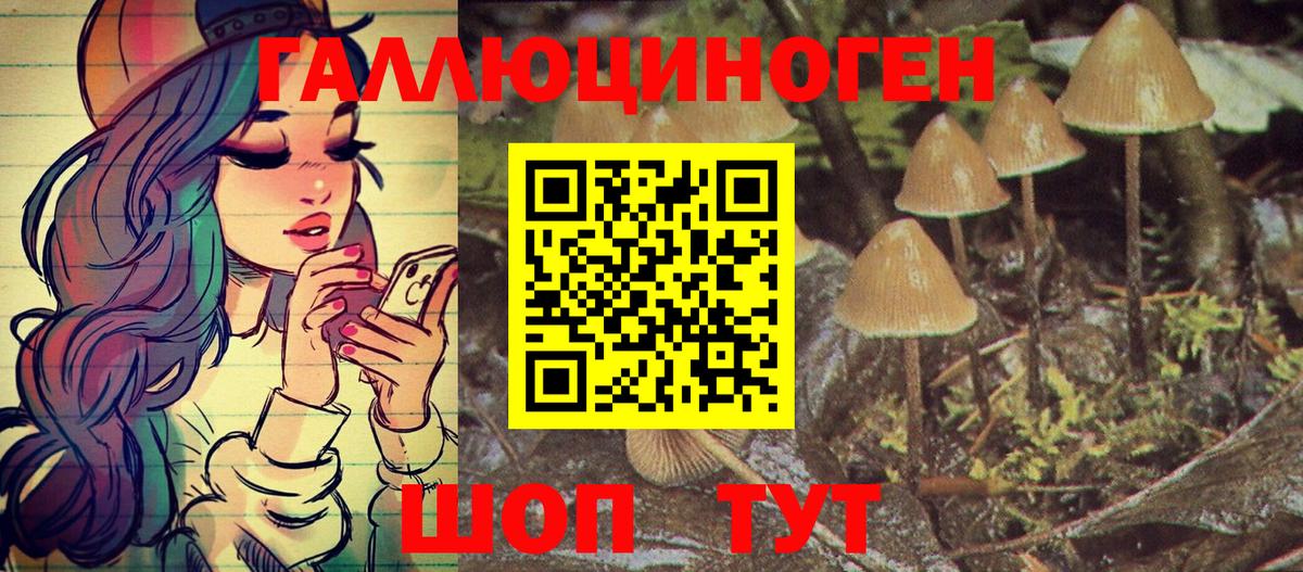 Галлюциногенные грибы Psilocybine cubensis  наркошоп  Вход с VPN  Керчь  Псилоцибиновые грибы Cubensis 